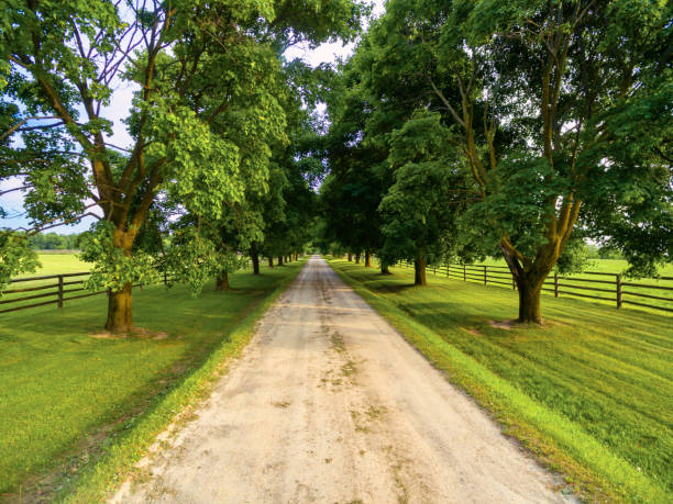 istock Horse farm ranch  landscape 1006252376