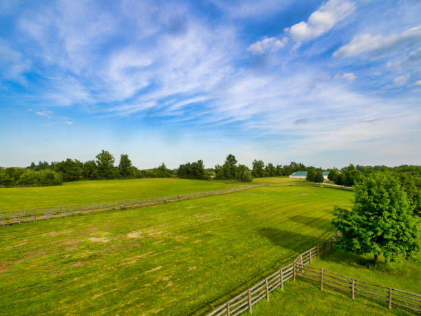 istock Horse farm ranch  landscape 1006252392