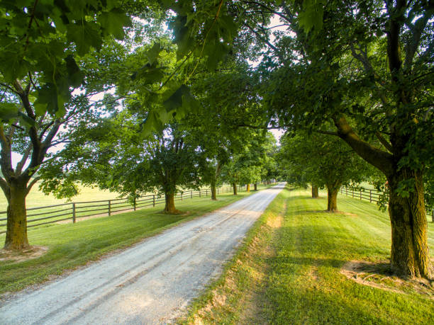 istock Horse farm ranch  landscape 1006252396