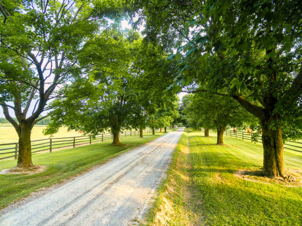 istock Horse farm ranch  landscape 1006252418