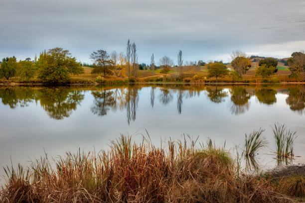 istock Autumn reflects on the lake 1006260640