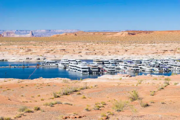 A marina filled with houseboats in the desert on the Colorado River