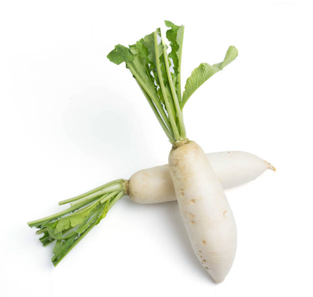 istock daikon radishes isolated on white background 1006268736