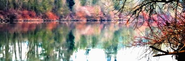 Willamette River reflecting fall colors stock photo
