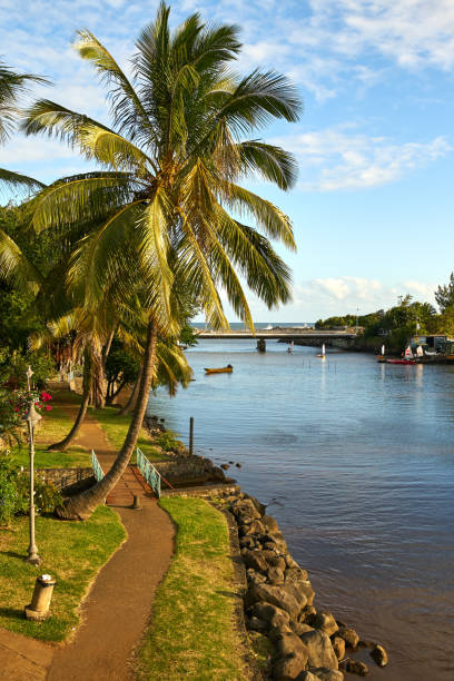 istock View on River First, St. Peter, Reunion Island 1006273850