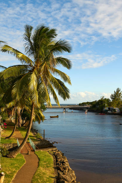 istock View on River First, St. Peter, Reunion Island 1006274236