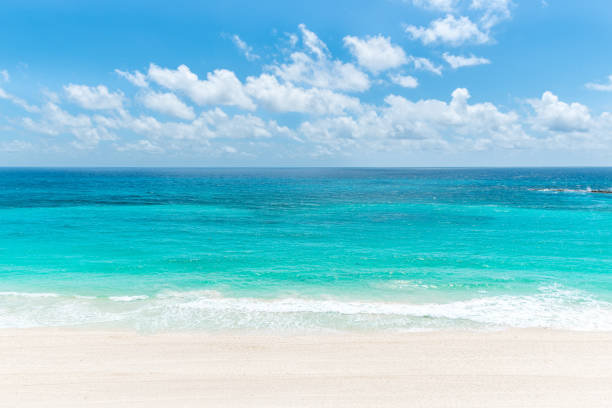 paraíso no caribe - cultura europeia ocidental - fotografias e filmes do acervo