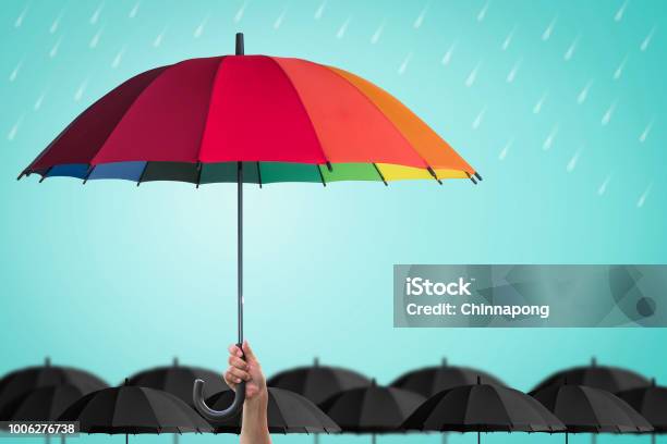 Lifehealth Insurance Protection Business Financial Leadership Concept With Leaders Hand Holding Rainbow Umbrella Distinctively Unique Stock Photo - Download Image Now