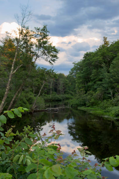 istock Eagle Pond in Wilmot, New Hampshire 1006278964