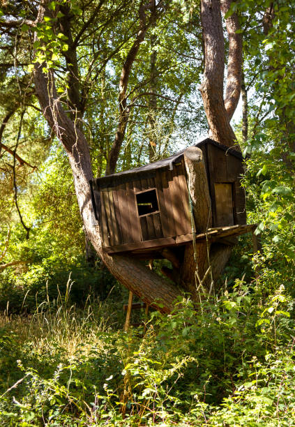 istock Abandoned kid tree house. The Stock photo. 1006281614