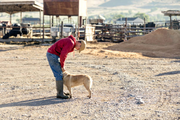 istock Dairy Farmer with Ranch Dog on a Farm 1006289582