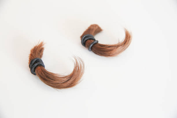 Haircut tools