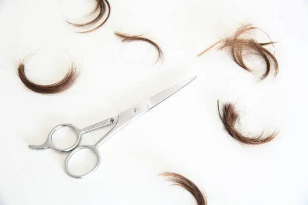 Photo of Lock of hair and a haircut scissor in a white background