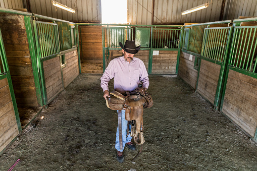 High quality stock photo of an rancher in a barn on a farm