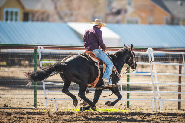 istock Cowboy ridding a horse 1006295086