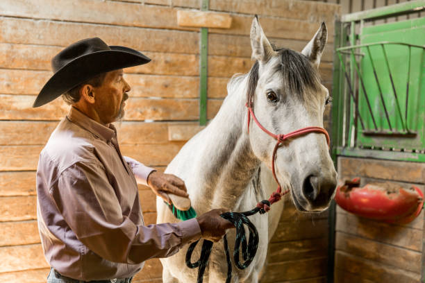 istock Cowboy Rancher in a Horse Boarding Barn 1006297488