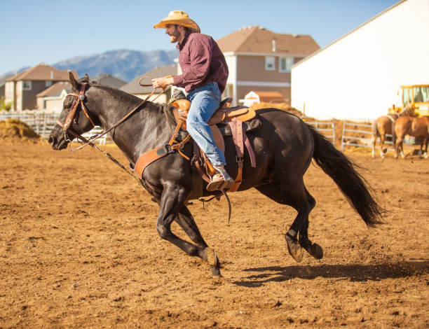 istock Cowboy ridding a horse 1006297990