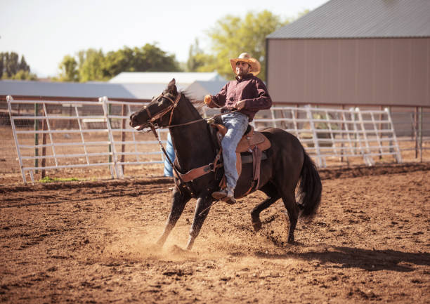 istock Cowboy ridding a horse 1006298002