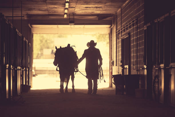 cowboy im pferdestall - wild west fotos stock-fotos und bilder