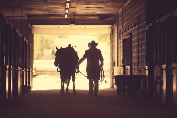 Cowboy at a horse stable Cowboy at a horse stable cowboy photos stock pictures, royalty-free photos & images