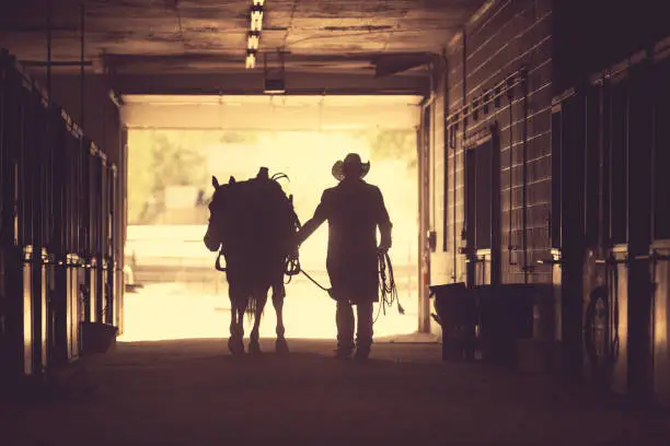 Photo of Cowboy at a horse stable