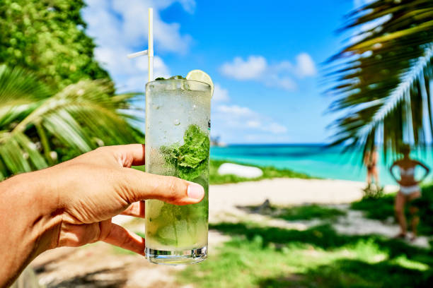istock take a drink on a tropical and beautiful beach , seychelles, anse soleil 1006301090