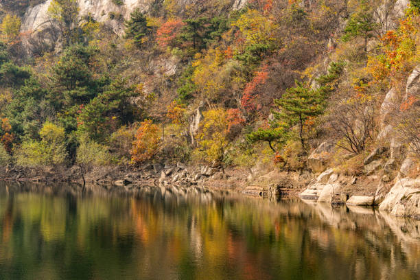 The fall vegetation is reflected in the water