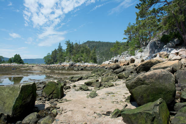 istock Tadoussac, Quebec - Canada Coastline 1006341626