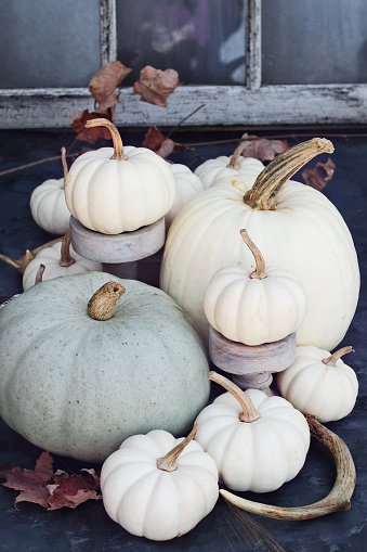 decorative pumpkins in kitchen