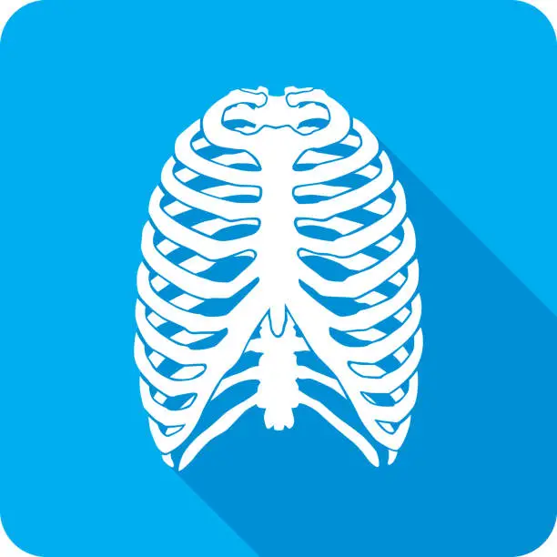 Vector illustration of Rib Cage Icon Silhouette 2