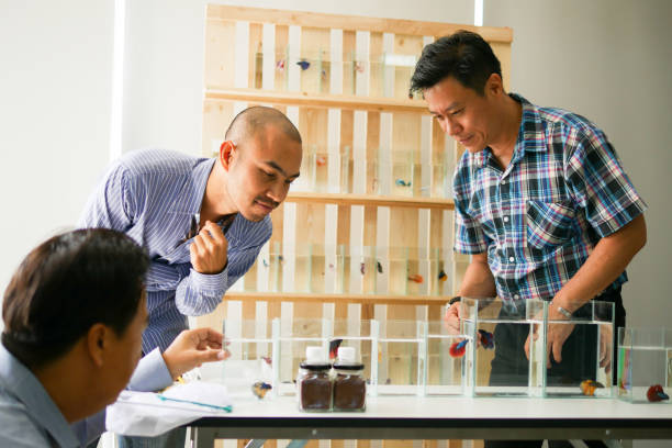 istock Business owner is selling siamese fighting fish (betta) 1006368202