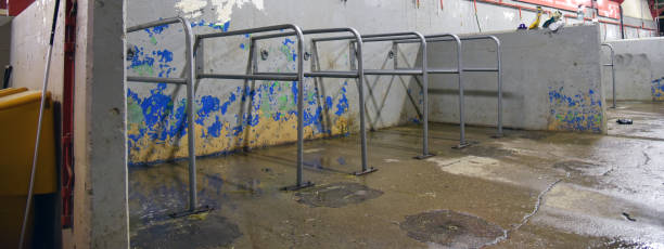 Barn wash bay stock photo