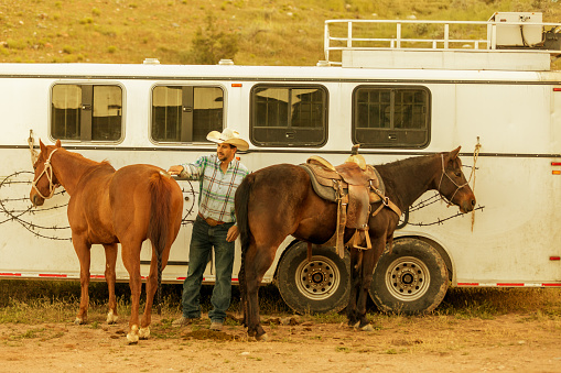 High quality stock photo of an rancher brushing a horse early in the morning before riding.