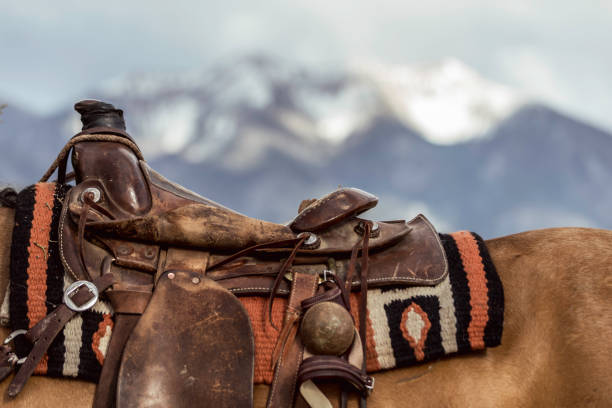 up close saddle with mountain range in the background - saddle blanket imagens e fotografias de stock