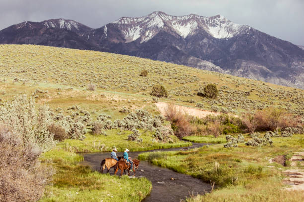 istock Cowboys and Cowgirls 1006374092