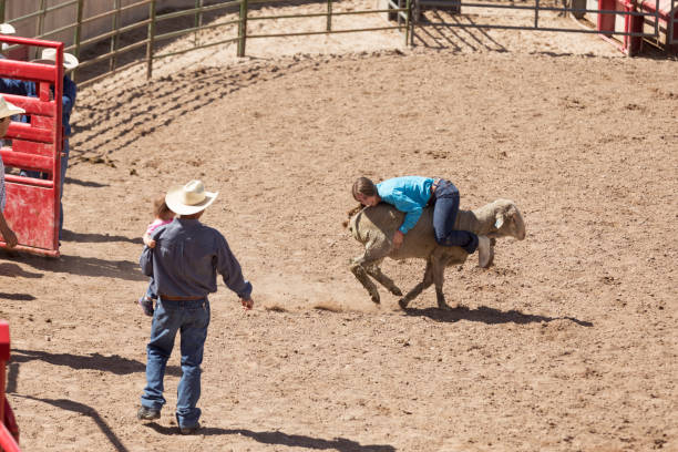 istock Father Holding son in a Rodeo Arena with Mutton Busting 1006381434