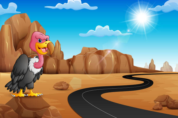 ilustrações de stock, clip art, desenhos animados e ícones de cartoon vulture on rock with empty road in the desert - 5908