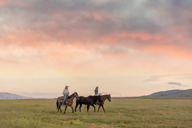 cowboy and cowgirl ride into the sunset - mounted imagens e fotografias de stock