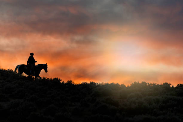 istock Silhouette of a Cowboy During a Glorious Sunset 1006386710