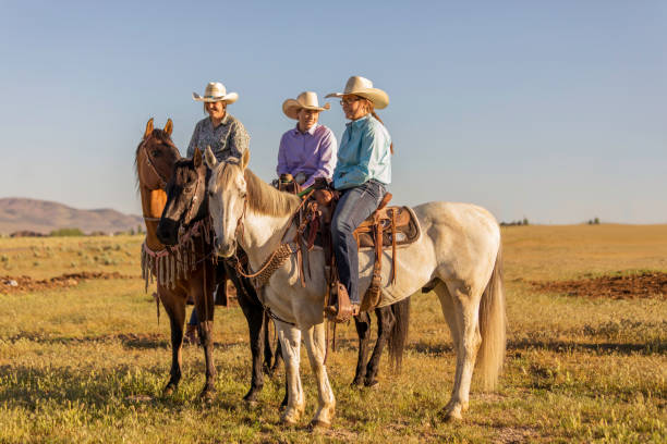 istock Horseback Riders Golden Field 1006391576