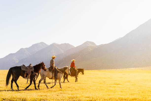 istock Horseback Riders Golden Field 1006391638