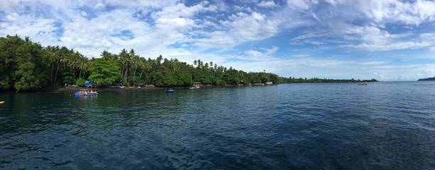 istock coastline indonesia, sulawesi 1006391710