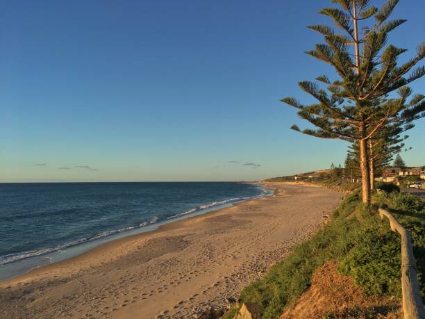 istock southern beach, adelaide australia 1006396274