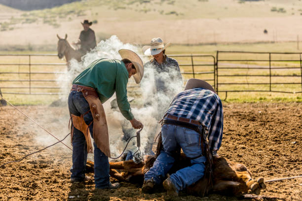 istock Learning the Ropes: Young Cowboy Learns Farm Life on Ranch 1006396634