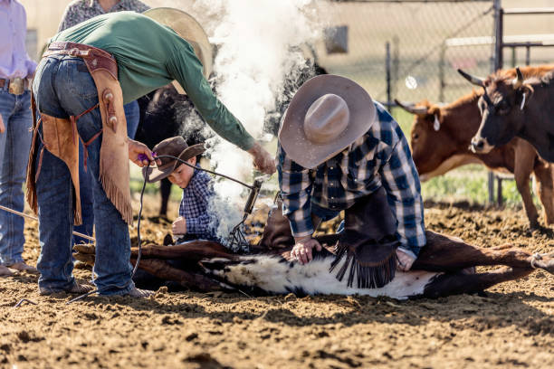 istock Learning the Ropes: Young Cowboy Learns Farm Life on the Ranch 1006399028