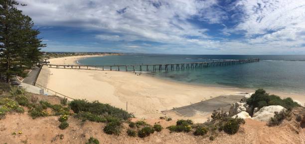 istock southern beach, adelaide australia 1006401786
