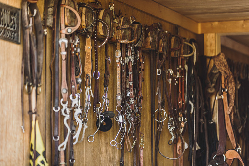 High quality stock photo of a bridles and horse tack hanging on a wall.