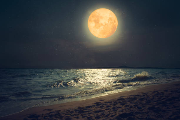 istock Beautiful fantasy tropical sea beach in night 1006404802