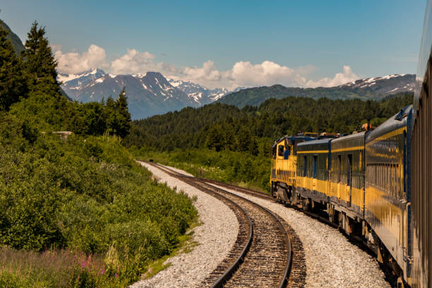 A bear crosses the tracks ahead of a train in Alaska, USA in summertime. A bear crosses the tracks ahead of a train in Alaska, USA in summertime. anchorage alaska photos stock pictures, royalty-free photos & images