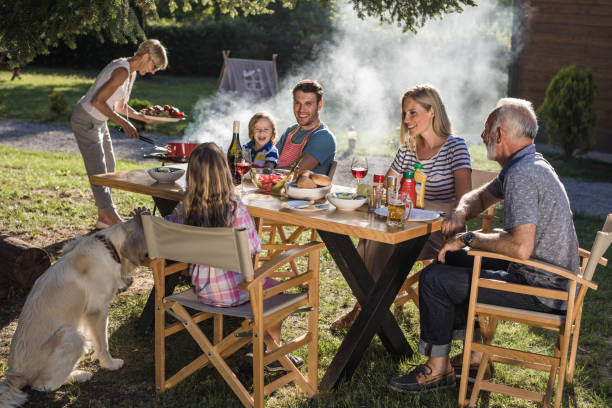 istock Happy extended family talking while having their lunch in the front yard. 1006414956
